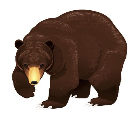 Free Clip Art Bear at sasdioceseblog Blog