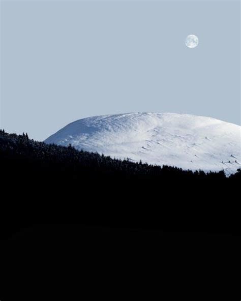 Blue Earth County Jail Roster PDF - Latest Inmate List