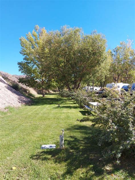 cache creek 101z 2021,where logging in is a breeze