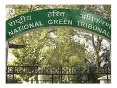 NGT pulls up Delhi government over waste management lapses, seeks fresh ...