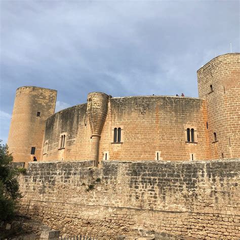 BUS MALLORCA (2026) All You Need to Know BEFORE You Go (w/ Reviews ...