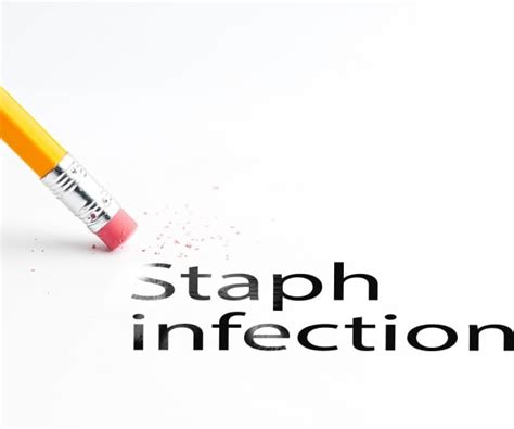 Viruses May Hold Key to Tackling Deadly Bacteria | Newsmax.com