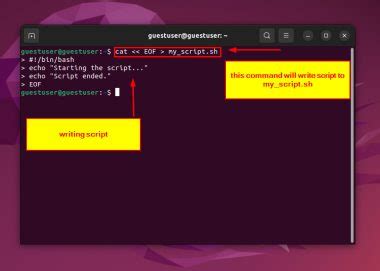 How to Create Eof in Bash Script 的图像结果