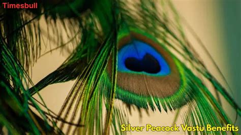 Vastu Tip: Facing Money Problems? A Silver Peacock Can Change Your ...