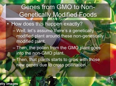 Genetically Modified 的图像结果