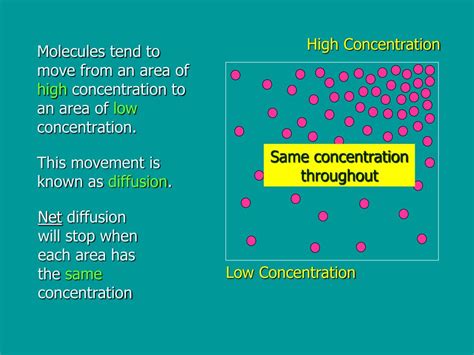 Diffusion 的图像结果