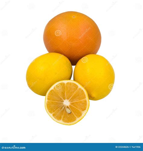 Orange and lemons stock photo. Image of yellow, fruit - 22244626