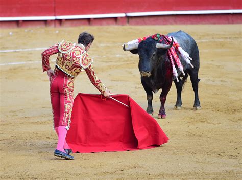 Bull Fighting