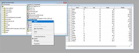 Image result for Open SAS File