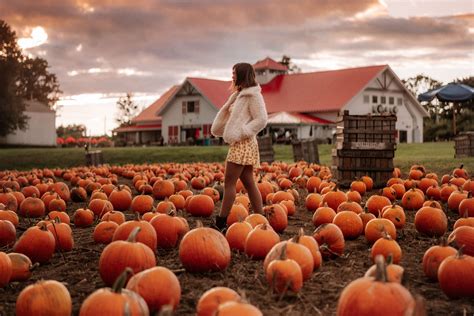 Shop Westin Hotels | Bedding, Bath, Fragrance, Vector Art