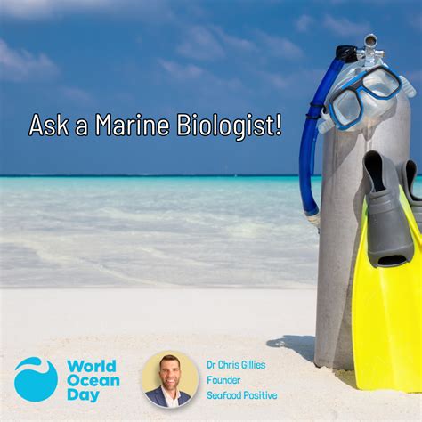 Questions To Ask A Marine Biologist In An Interview at Sara Mccall blog