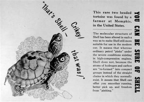 Image result for Shell Advert Stain More