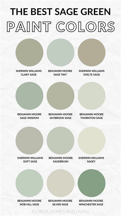 Sage Paint Color