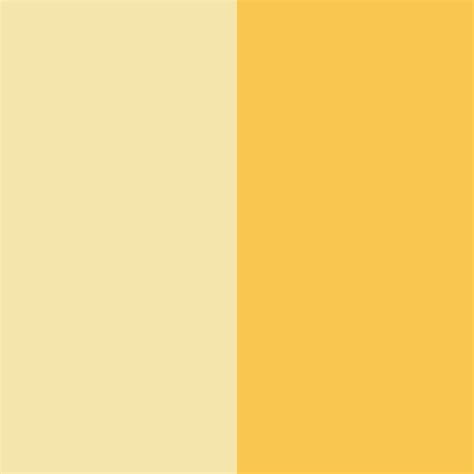 Light Yellow Color Palette - ColorDrop