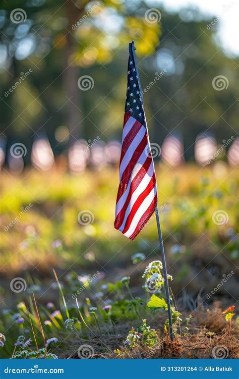Memorial Day, Tribute To Fallen Soldiers Worldwide, Set Against an ...