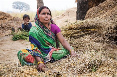 African Farming Methods 的图像结果