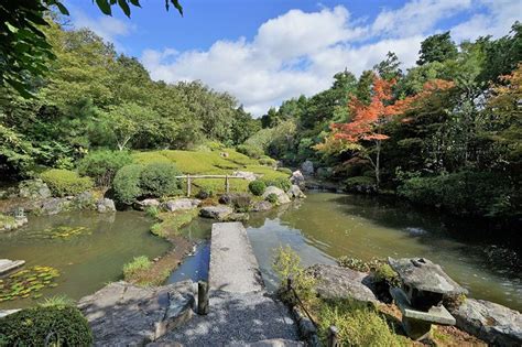 1798林峰林若荷1798林峰荷花小说2022已更新今日资讯