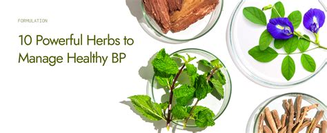 Kapiva BP Care Juice - 100% Ayurvedic Juice to Support Healthy Blood ...