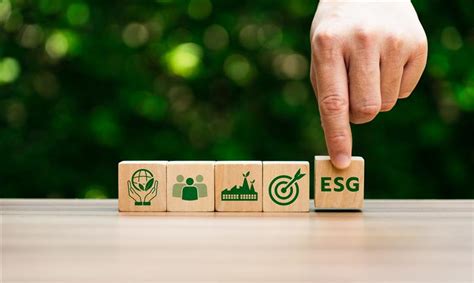 Delivery Excellence and Transformation Case Studies