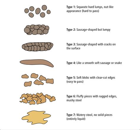 What's The Difference Between A Loose Stool And Diarrhea at Marietta Orourke blog