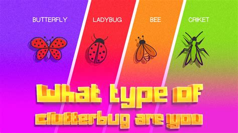 Image result for Clutterbug Quizzes