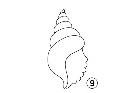 Image result for How to Draw Cute Shell