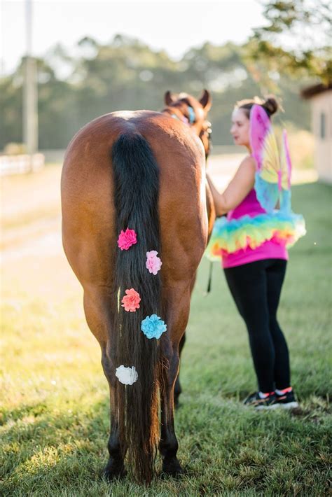 Simple Horse Costumes at Eileen Crofts blog