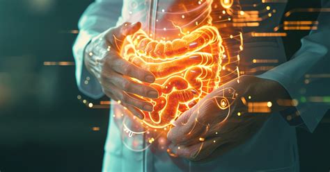 How to Improve Gut Health