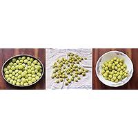 Creative Farmer Live Fruit Plant Star Gooseberry/Rata Nelli Plant ...