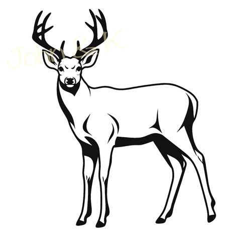 White-tailed Deer SVG: Alaska State Mammal Vector (digital Files) - Etsy