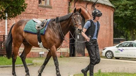 Work Rider - Careers in Racing