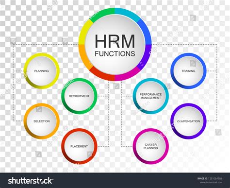 Human Resource Management Functions 的图像结果