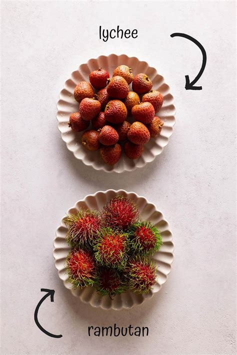 Rambutan vs Lychee: A Comprehensive Comparison Guide | Foodtasia