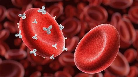 Blood type linked to 16% higher risk of an early stroke; Which blood ...