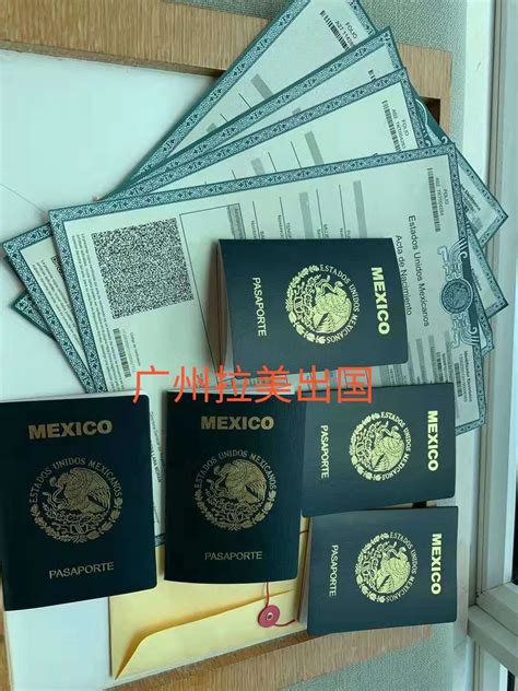 墨西哥护照：成功案例