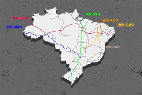 BR-101 in Lagoa do Peixe National Park, Rio Grande do Sul