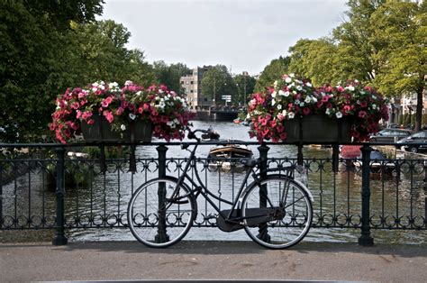 Rules to Cycle Amsterdam Like a Local | Traveling Europe