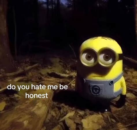 Do you hate me be honest | Minion Staring in the Forest | Know Your Meme