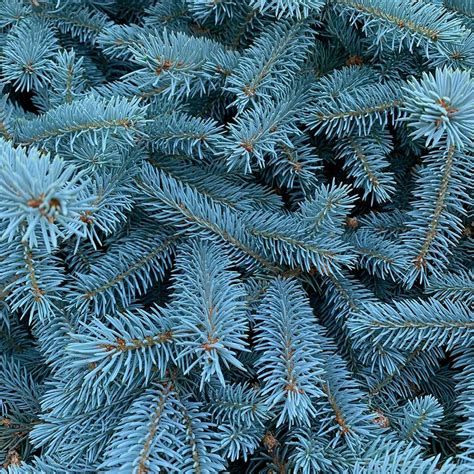 Richfield Utah Plant Hardiness Zone - 6a | Everything Exterior