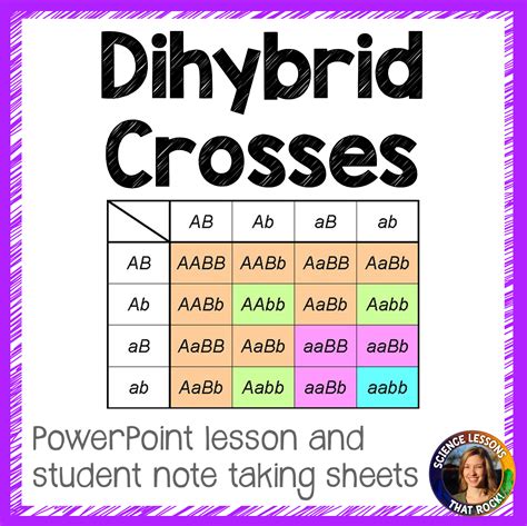 Dihybrid Crosses Punnett Square Lesson - Store - Science Lessons That Rock