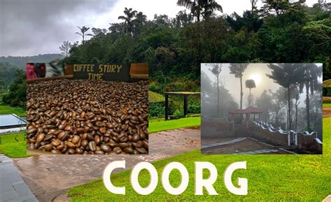 Image result for Grid Image Using Tailwind CSS