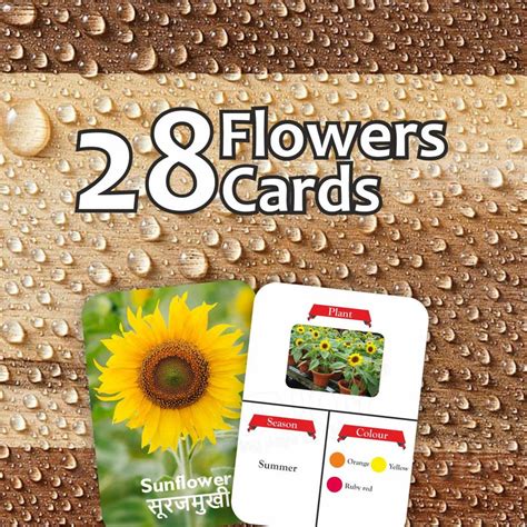 Jogenii|Clapjoy-Double-Sided-Flash-Cards-for-Kids-(Z4-Alphabet,Sea ...