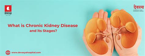 What is Chronic Kidney Disease (CKD) and Its Stages? | A Complete Guide