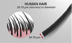 Hair Diameter by Petroclear Academy 187 Microns And Micron Ratings What Hair Diameter