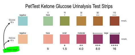 Urinalysis Results