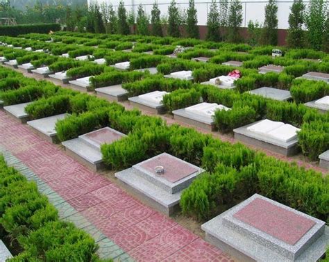 智能骨灰存放柜厂家：桂林市举行第六届公益性花坛葬活动-江西泰恒工艺品有限公司