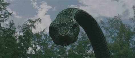 Deep Sea Python Movie 的图像结果