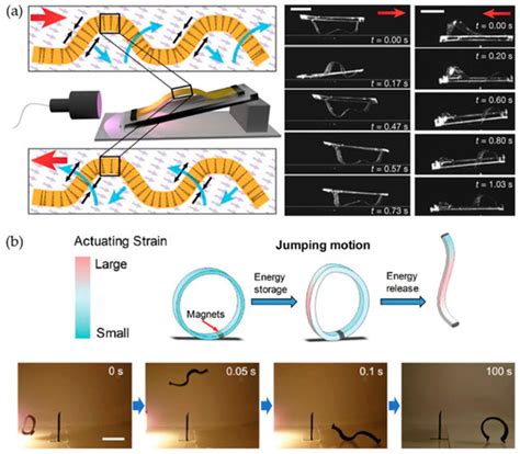 Materials | Special Issue : Programmable Anisotropic Materials and ...