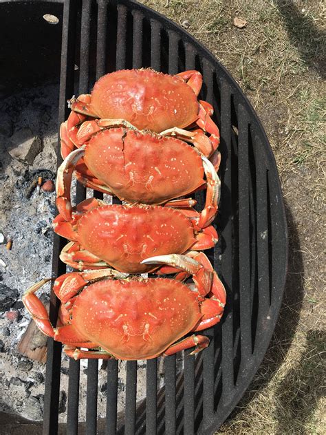 Webb County Campground & Park | Pacific City, Oregon