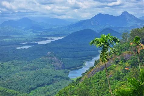 Urali Medicine: Plant-Based Indigenous Healing System of Western Ghats